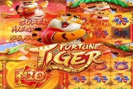 wr777 Roulette Dreamspin on wr777